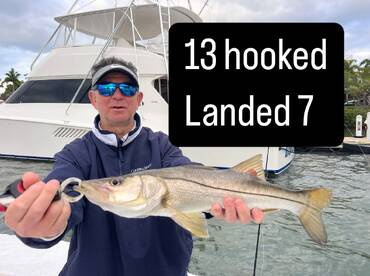 Daytip was good today  