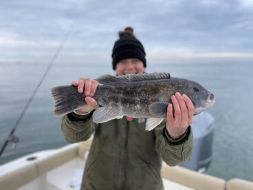 Clinton Report Photo 2