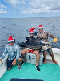 Merry Christmas!