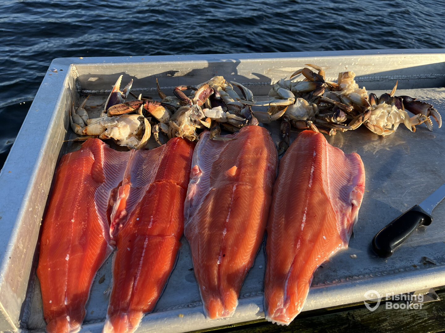 Sooke Report Photo 0