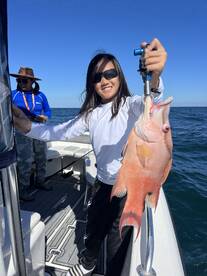 Hogfish making a splash in December!!