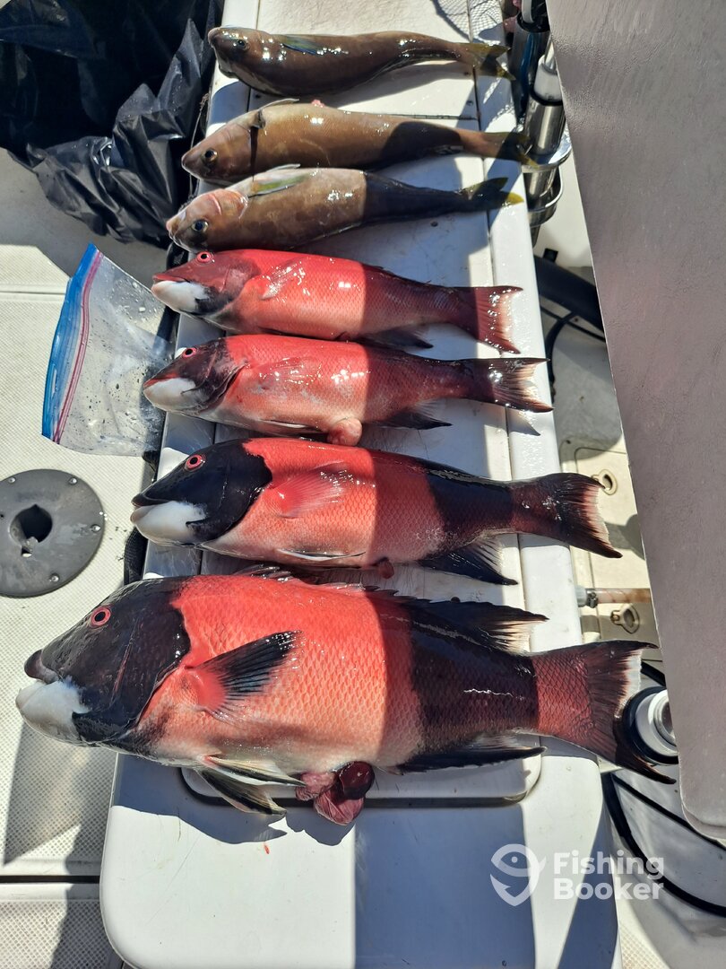 San Diego Report Photo 0