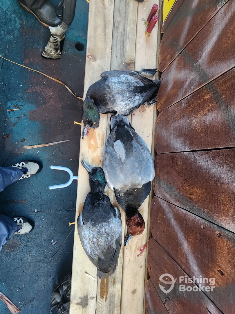 Corpus Christi Report Photo 0