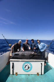 Haleiwa Report Photo 2