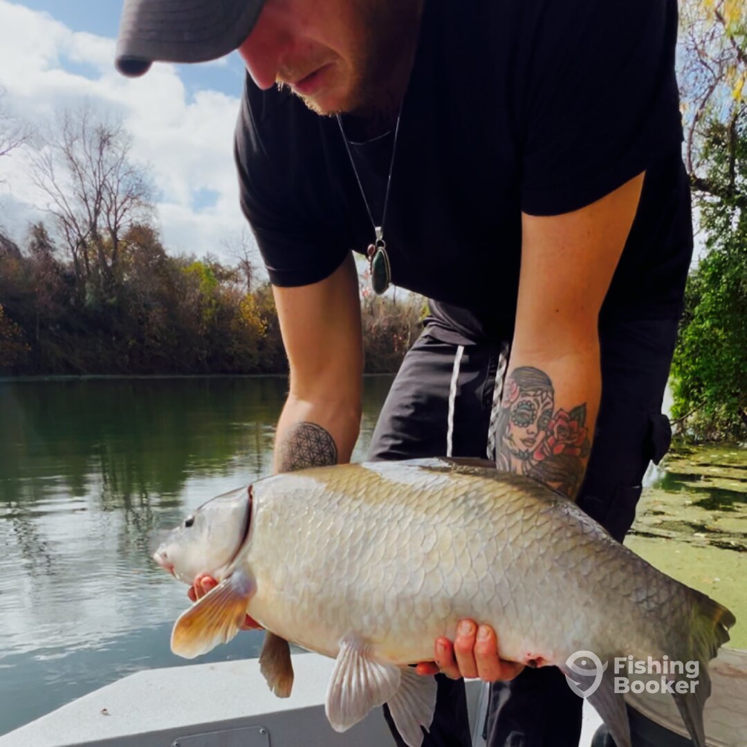 Wadsworth Report Photo 0