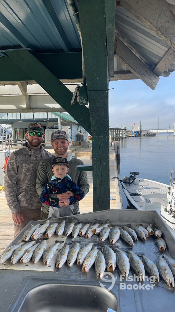 Sulphur Report Photo 0