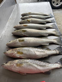 River Road Report Photo 2