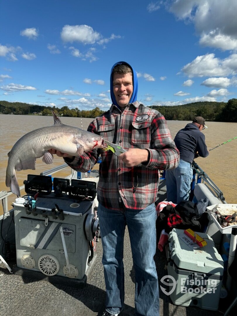 Kingston Report Photo 0