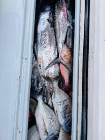 Placencia Report Photo 2