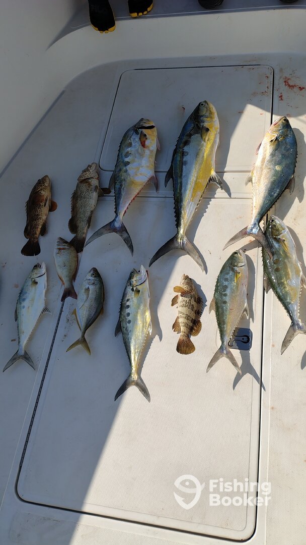 Dubai Report Photo 0