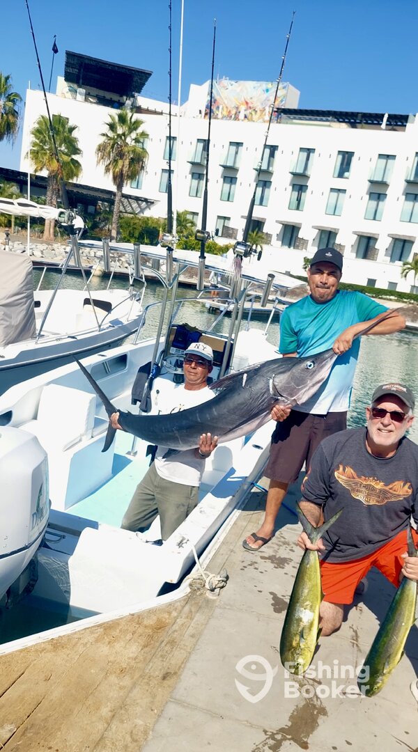 San Jose del Cabo Report Photo 0