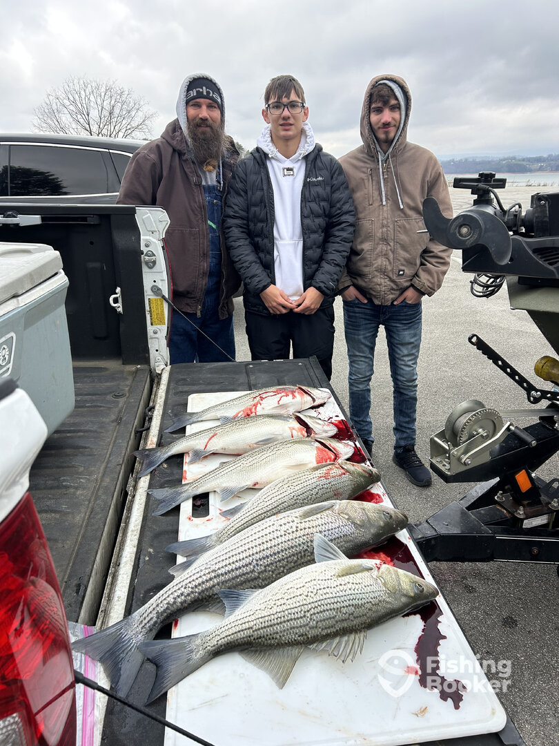 Rutledge Report Photo 0