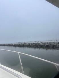 Big fish are here now. 