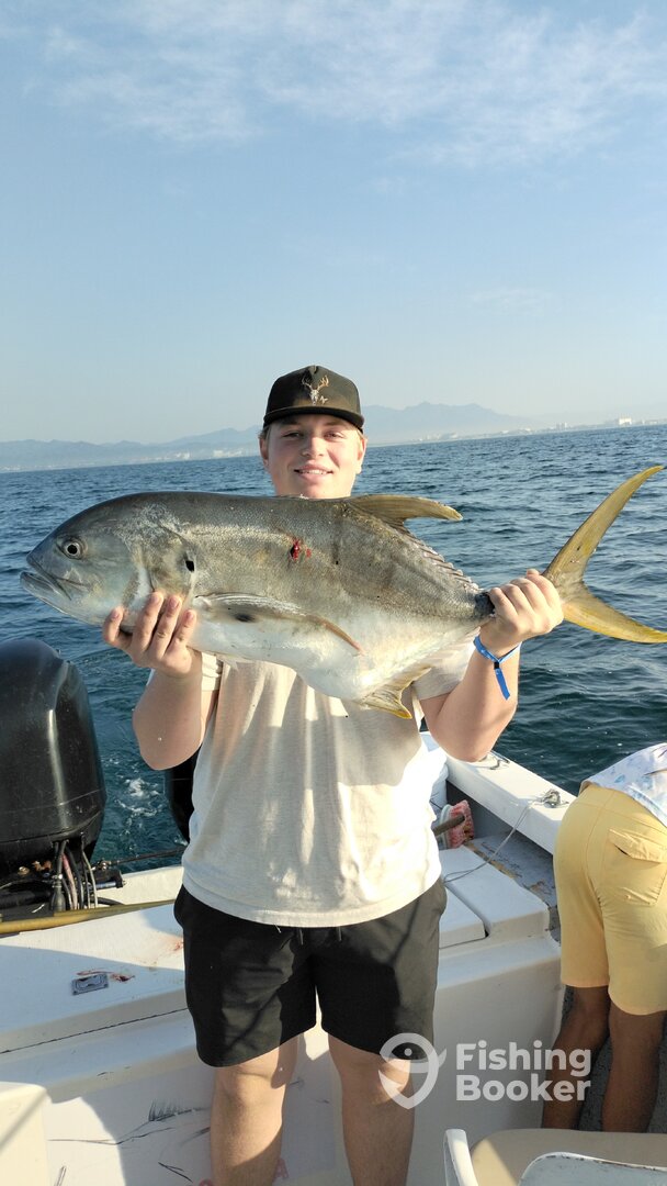 Puerto Vallarta Report Photo 0