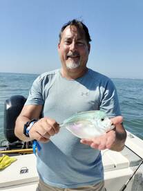 Puerto Vallarta Report Photo 2