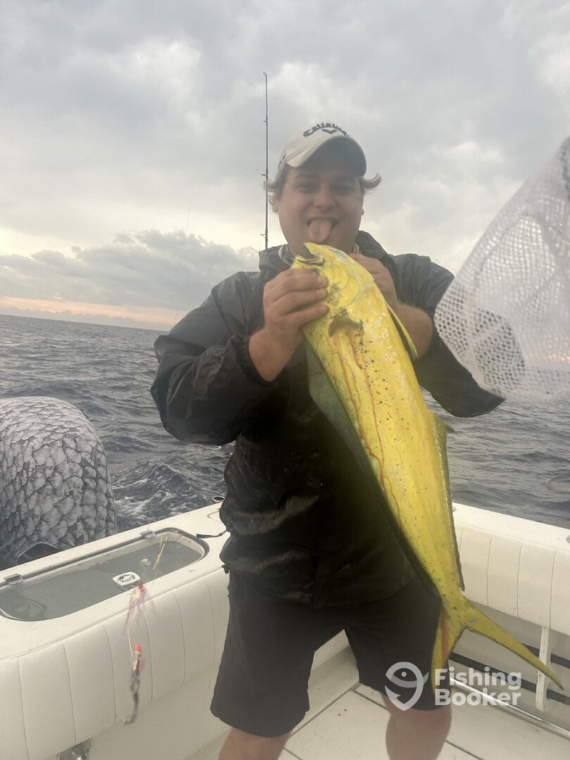 Boynton Beach Report Photo 0