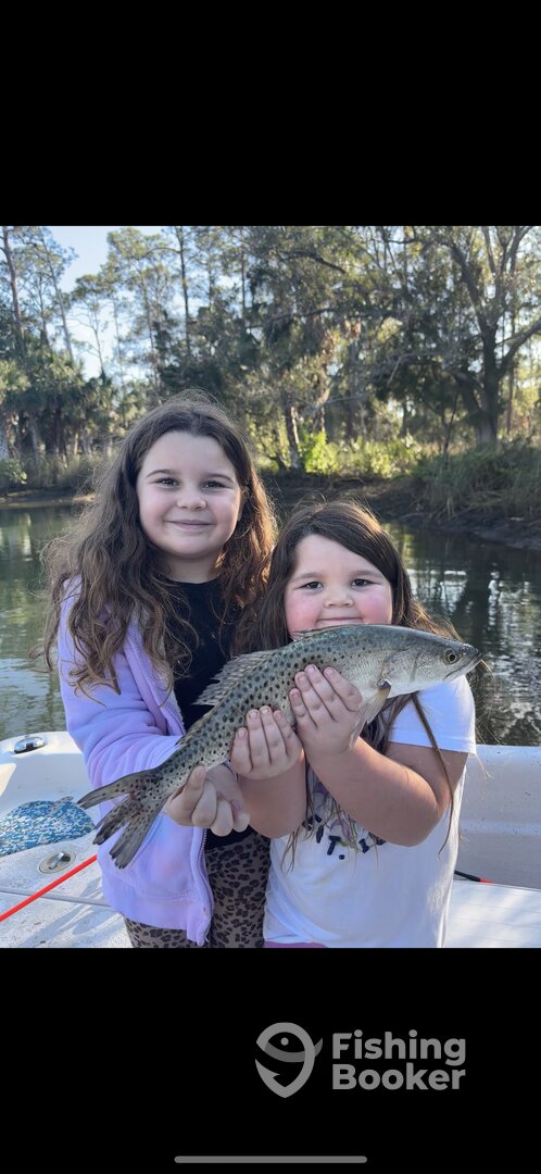 Spring Hill Report Photo 0