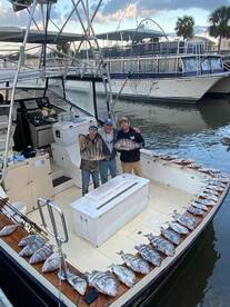 You gotta feel the bite