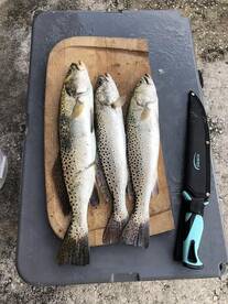 St. Petersburg Report Photo 1