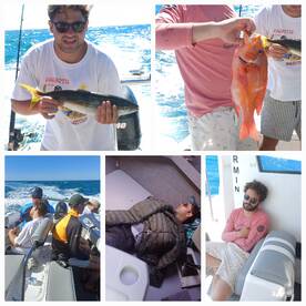 Garden Route Report Photo 3