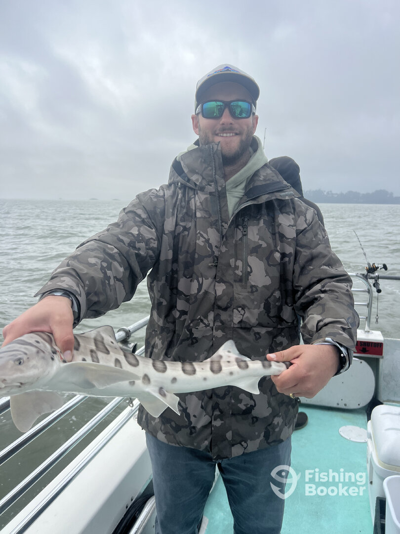 San Francisco Report Photo 0