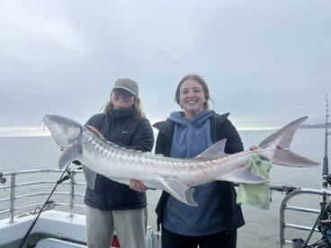 San Francisco Report Photo 2