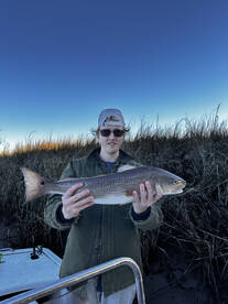 Mount Pleasant Report Photo 1