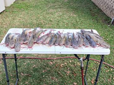 Just fishing this morning 