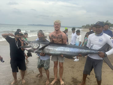 Rincón de Guayabitos Report Photo 2