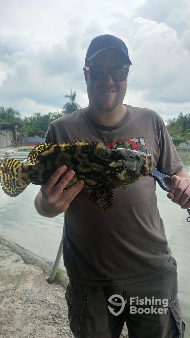 Subang Jaya Report Photo 0