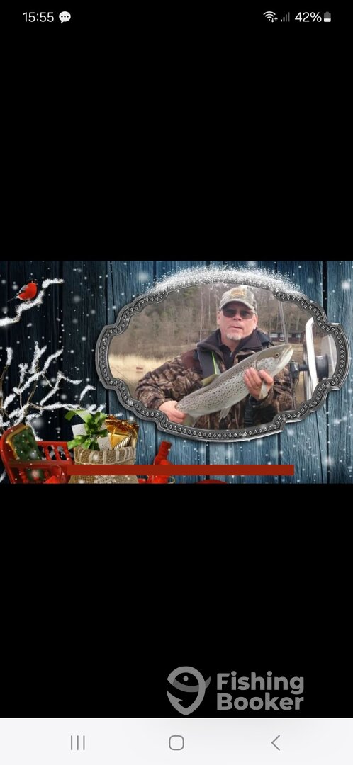 Stockholm Report Photo 0