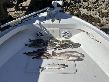 Fort Myers Report Photo 2