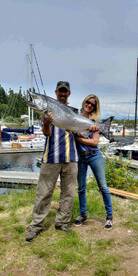 Tyee salmon