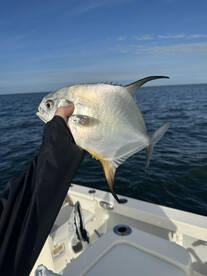 Nokomis Report Photo 1