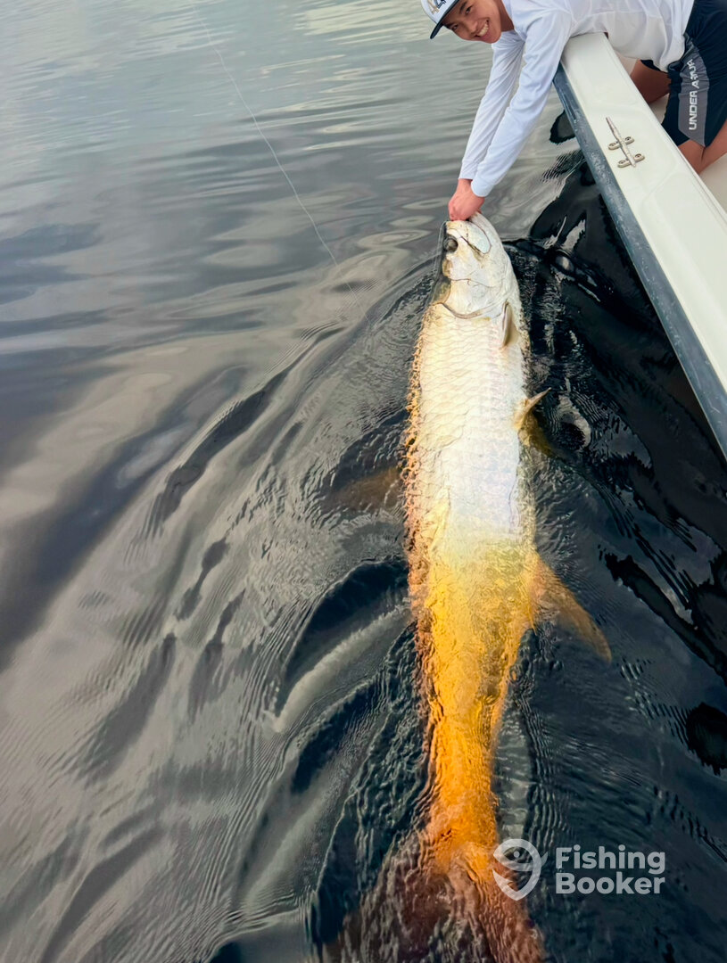 San Juan Report Photo 0