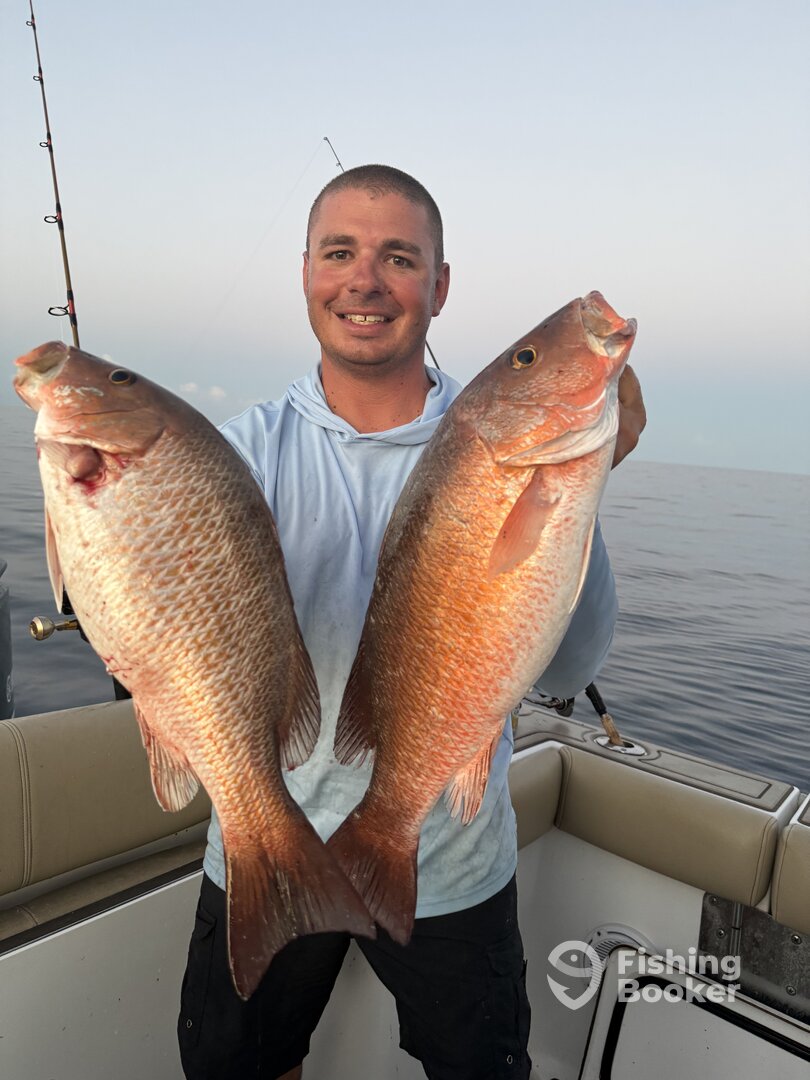 Naples Report Photo 0