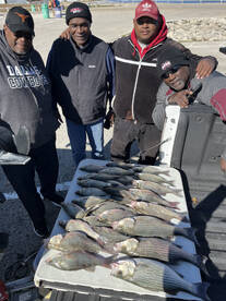 Lewisville Report Photo 1