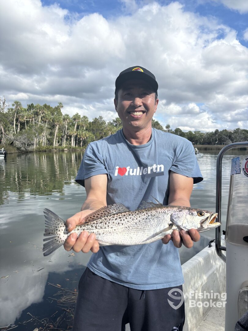 Spring Hill Report Photo 0