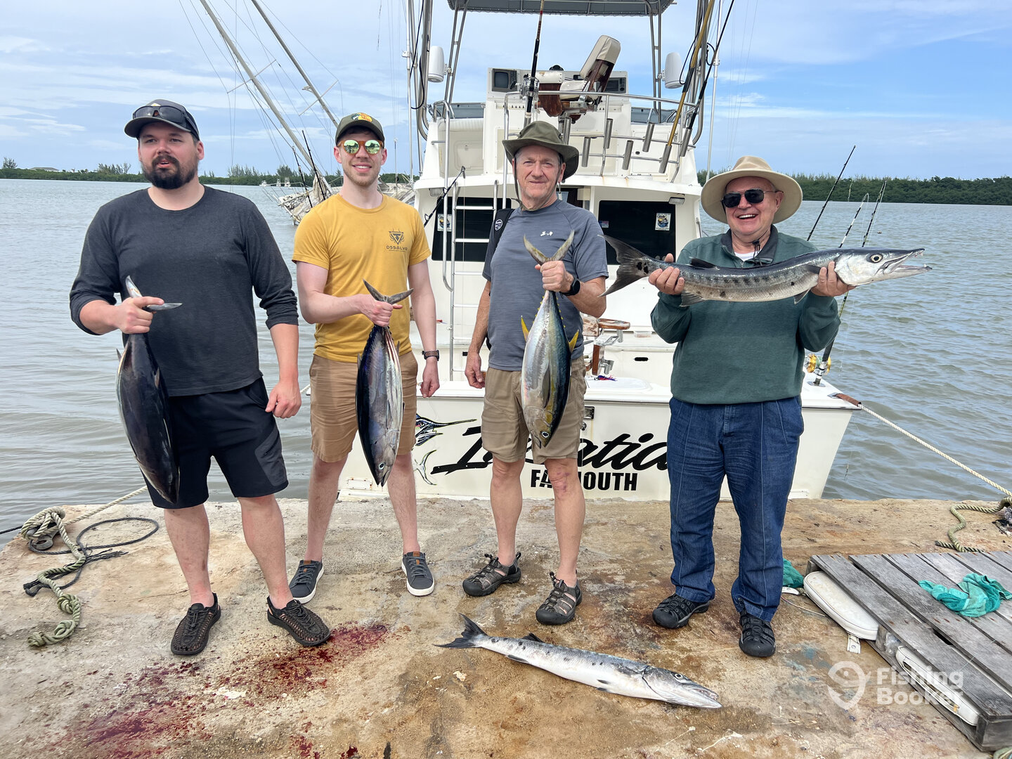 Falmouth Report Photo 0