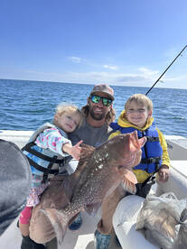 Red Grouper are Chewing