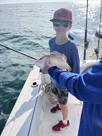 Belleair Bluffs Report Photo 2