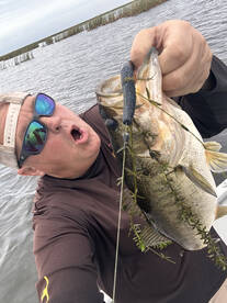 Palm Bay Report Photo 2