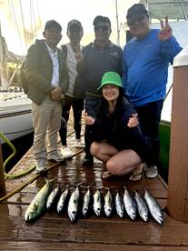 Dania Beach Report Photo 2