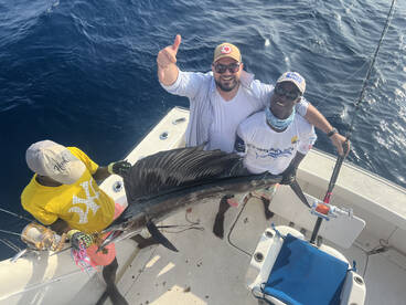 Superb sailfish for a first time fisherm