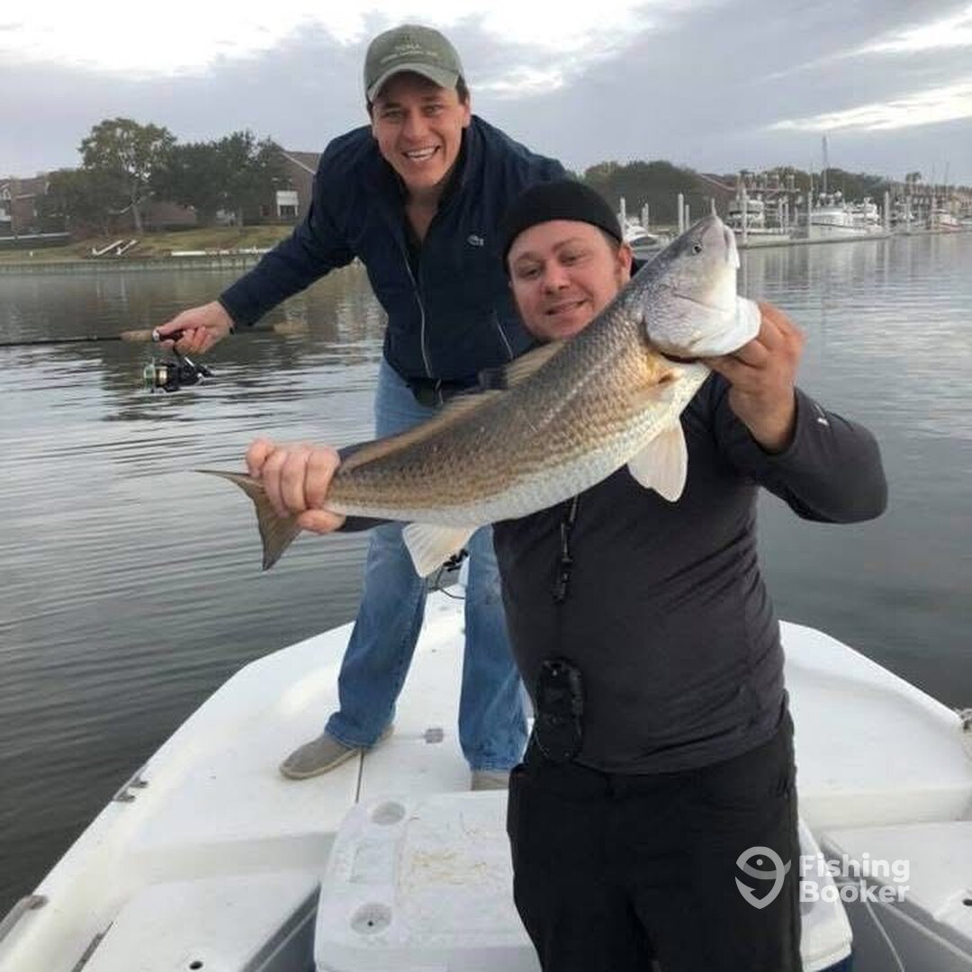 Houston Report Photo 0