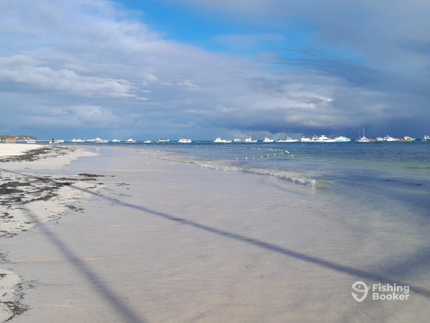 Punta Cana Report Photo 0