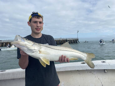 Winter time Snook and Reds