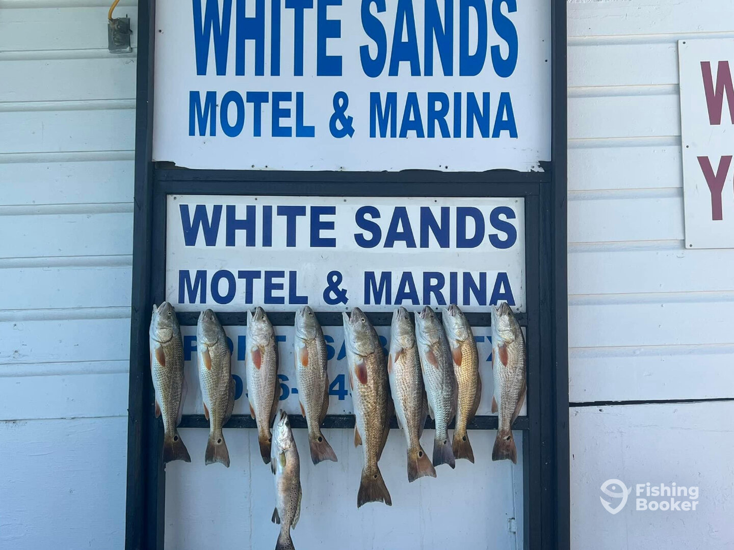 South Padre Island Report Photo 0