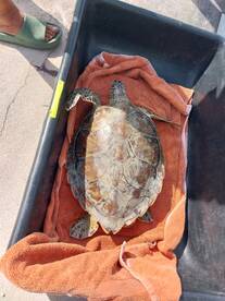 Key Largo Report Photo 2