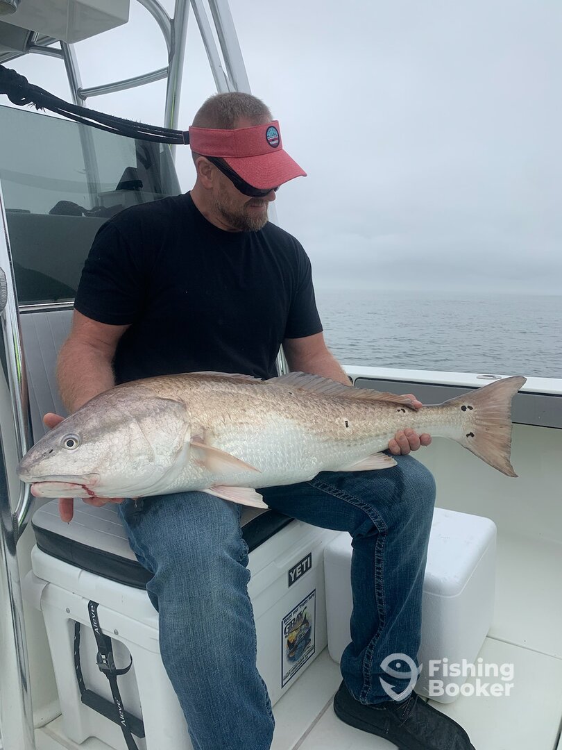 New Smyrna Beach Report Photo 0